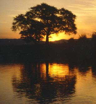 Image loading...Sunset over a waterhole